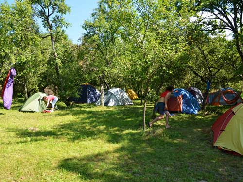 Foto Vizita de curtoazie (c) Petru Goja